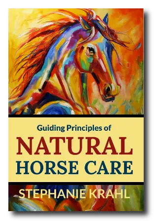 Guiding Principles to Natural Horse Care