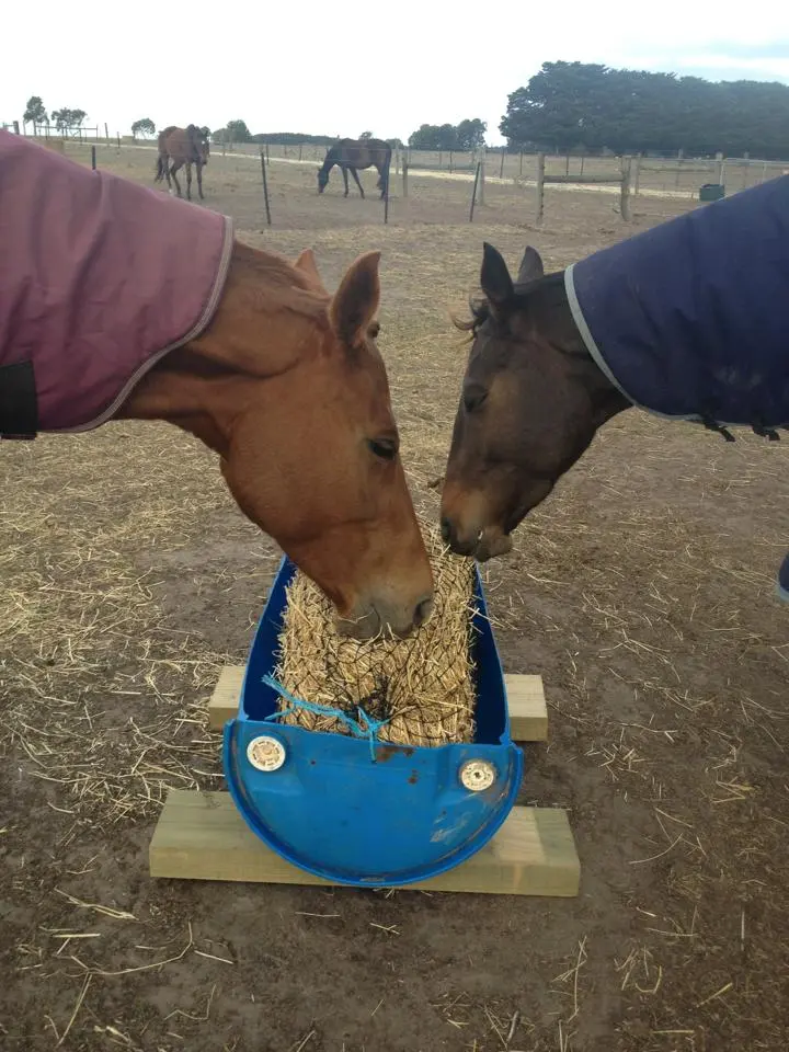 Make a haynet holder
