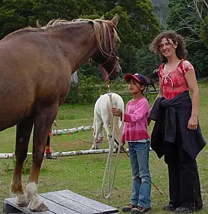 How Can I learn Better Horsemanship?
