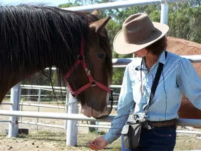 Giving Horses Choices – The beautiful Boronia