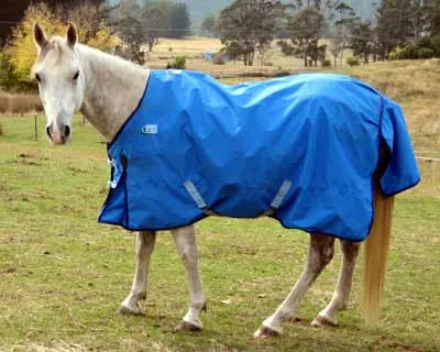 CoolHeat Blanket