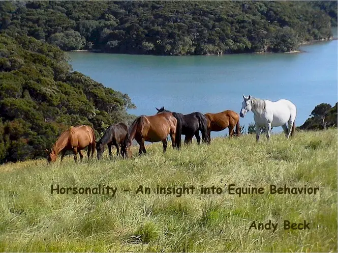 Horsonality – an insight into Equine Behaviour