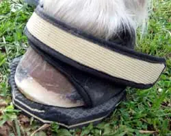 Bassoli 14″ Hoof Rasp - Natural Horse World SandalPadon