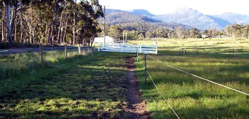 Leigh Martin from Mountain River in Tasmania writes about his track…
