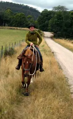 Insurance Issues for Bitless Bridles or No Helmet.
