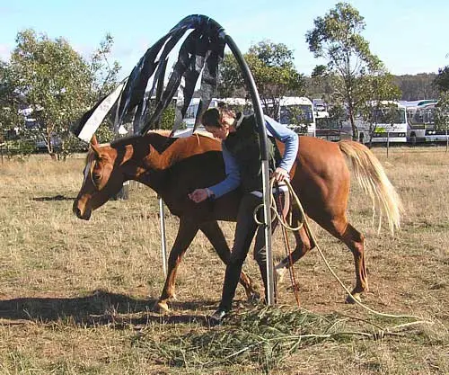 Tasks featured at the  Agfest Challenge Tournament