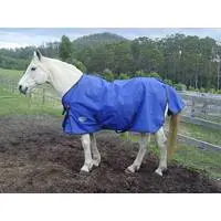 Should I rug/blanket my horse or not?
