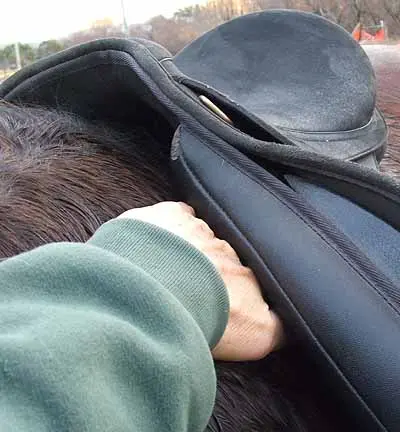 saddlefitgood