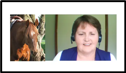 Jenny Pearce – Happiness and Wellbeing for Horse and Rider