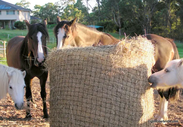 New Super Tough Round Bale Hay Nets