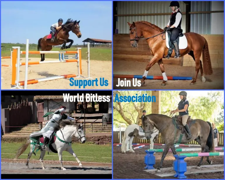 The World Bitless Association – helping all horses