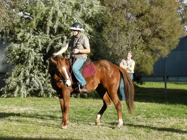 Get Better Bitless Control by Moving the Hind End