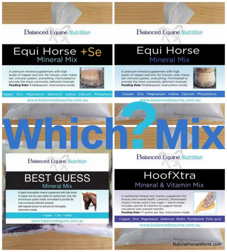 Which mineral supplement is best for my horse?