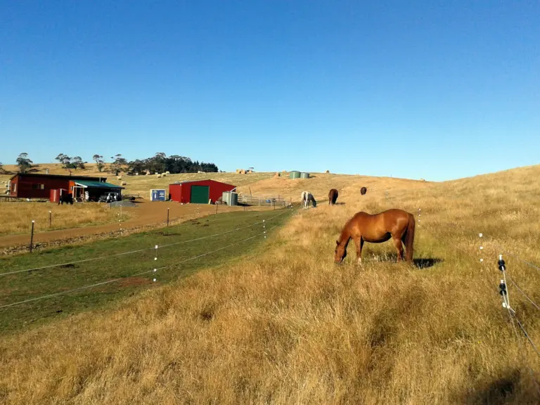 Hybrid Horse Keeping – Equicentral and Tracks combined