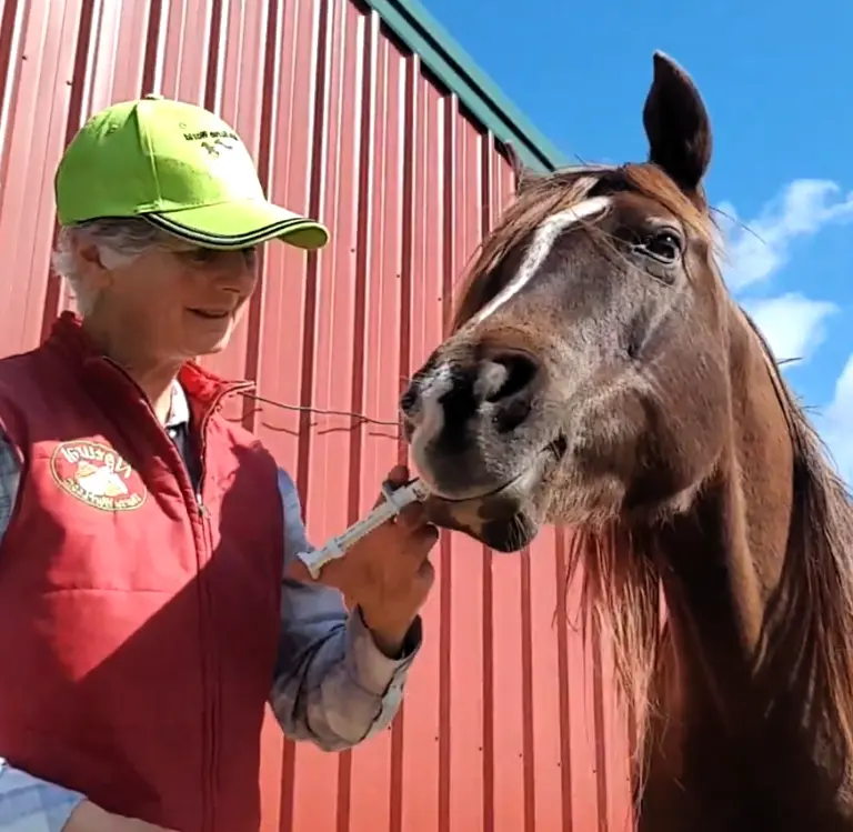 Strategic Worming for Horses: A Natural, Sustainable Approach