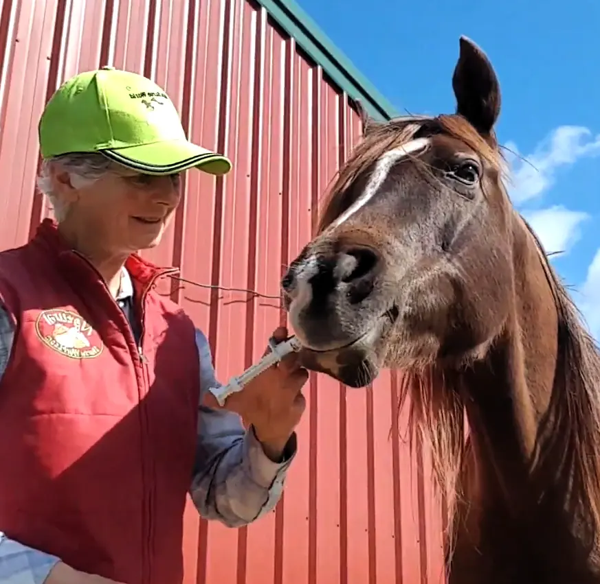 Strategic Worming for Horses: A Natural, Sustainable Approach