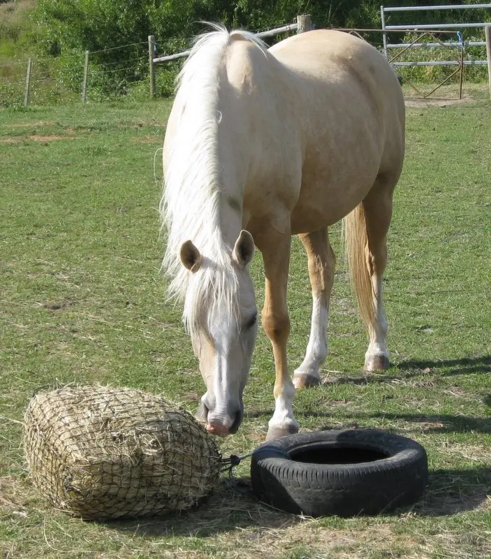 HaySaver 6cm/60 ply Tuff Slowfeed Hay Net