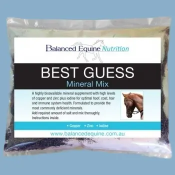 Best Guess Mineral Mix - Balanced Equine By Carol Layton