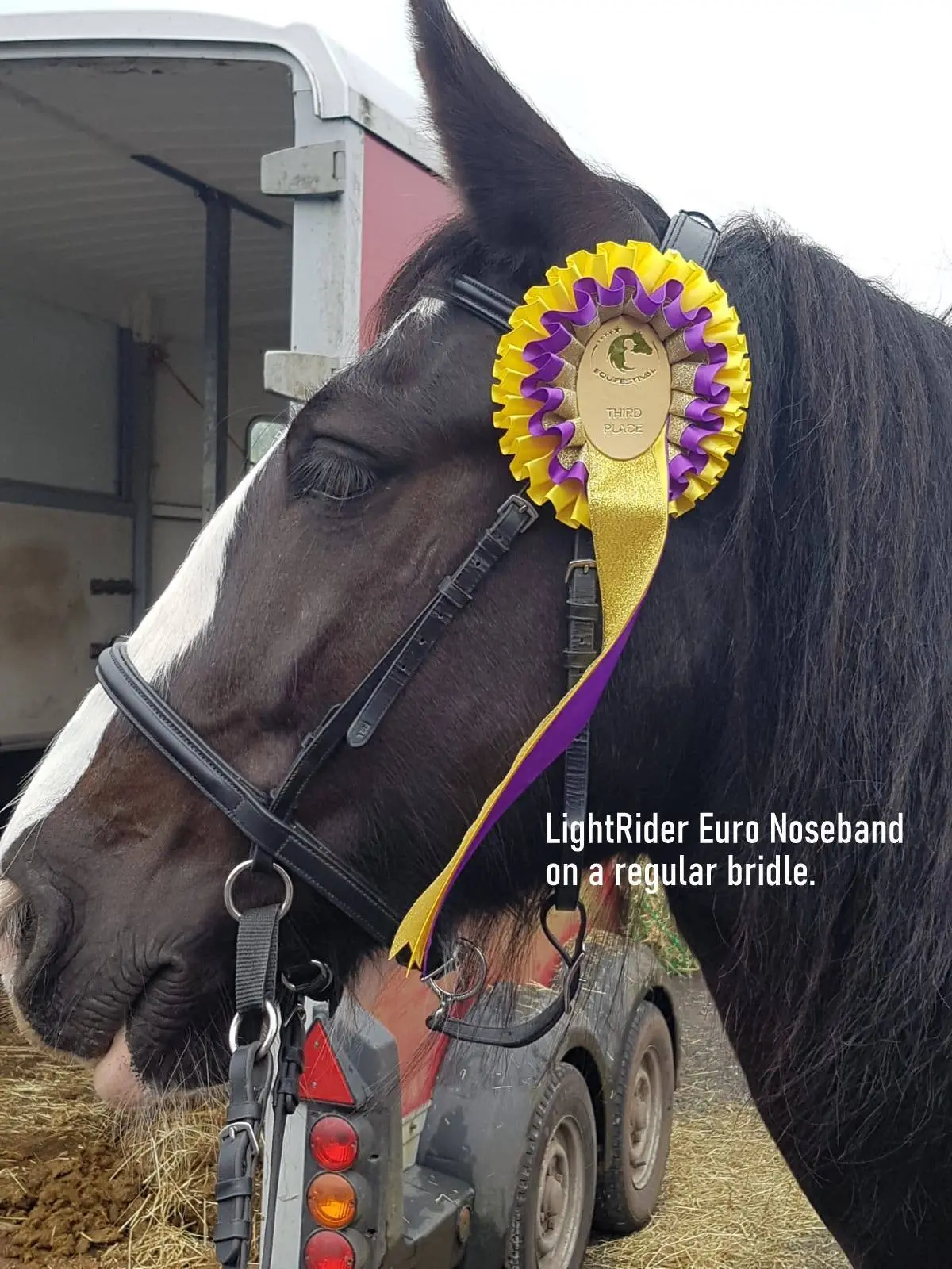 LightRider Euro Bitless Noseband