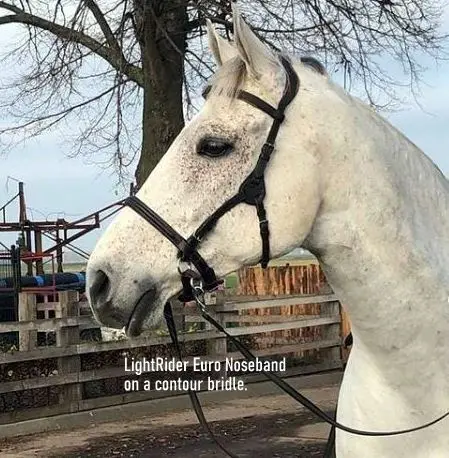LightRider Euro Bitless Noseband