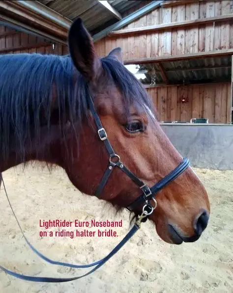LightRider Euro Bitless Noseband