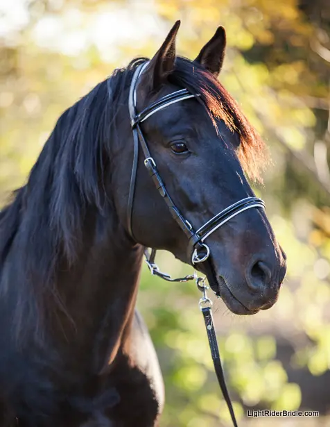 LightRider Bitless Dressage Bridle