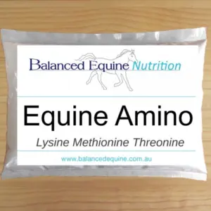 Equine Amino by Balanced Equine - Carol Layton