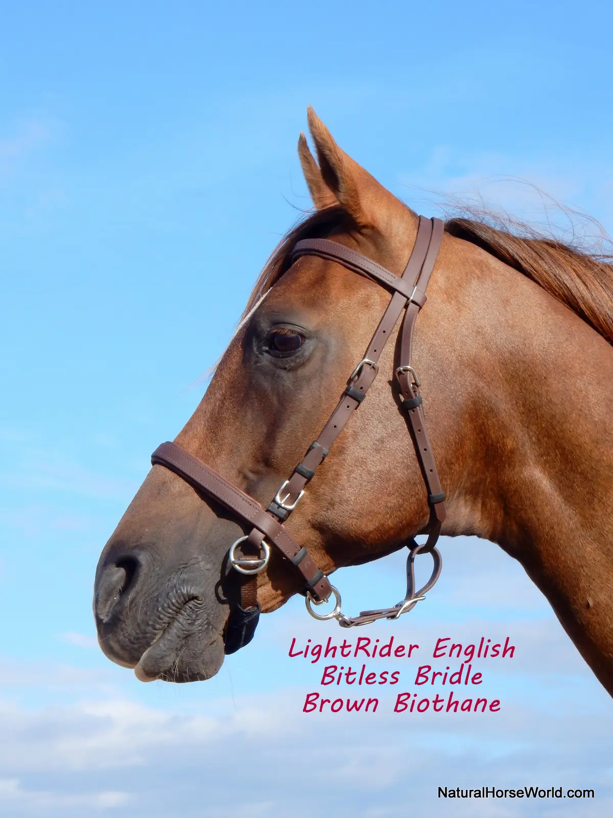 LightRider English Bitless Bridle