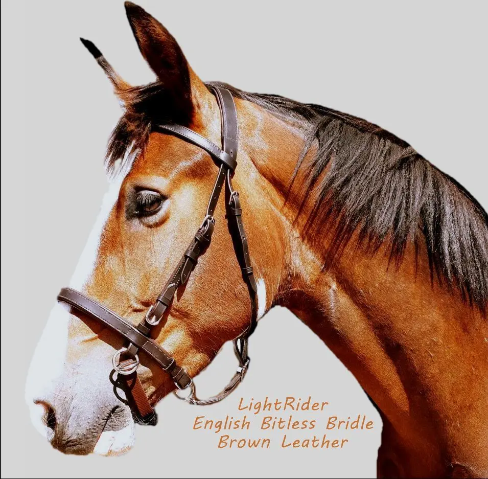 LightRider English Bitless Bridle