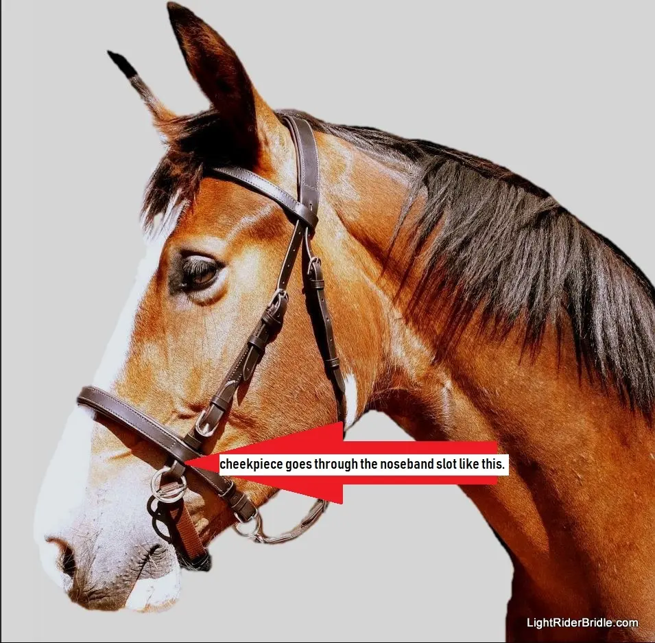 LightRider Bitless Noseband