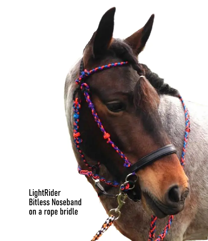 LightRider Bitless Noseband