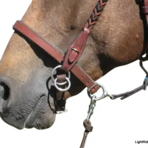 LightRider Bitless Noseband