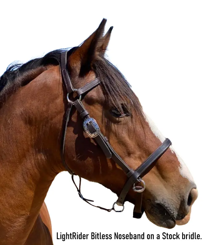 LightRider Bitless Noseband