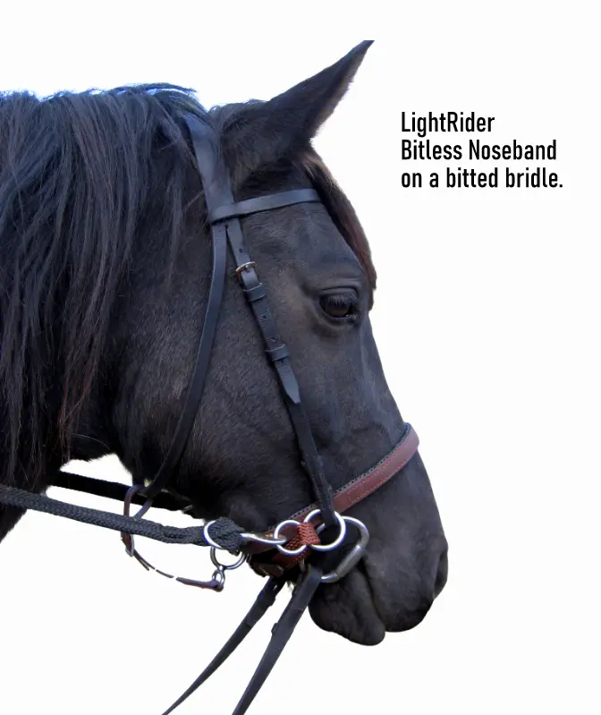 LightRider Bitless Noseband