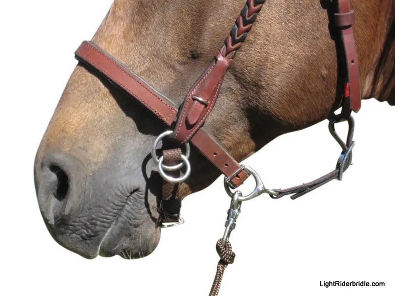 LightRider Bitless Noseband