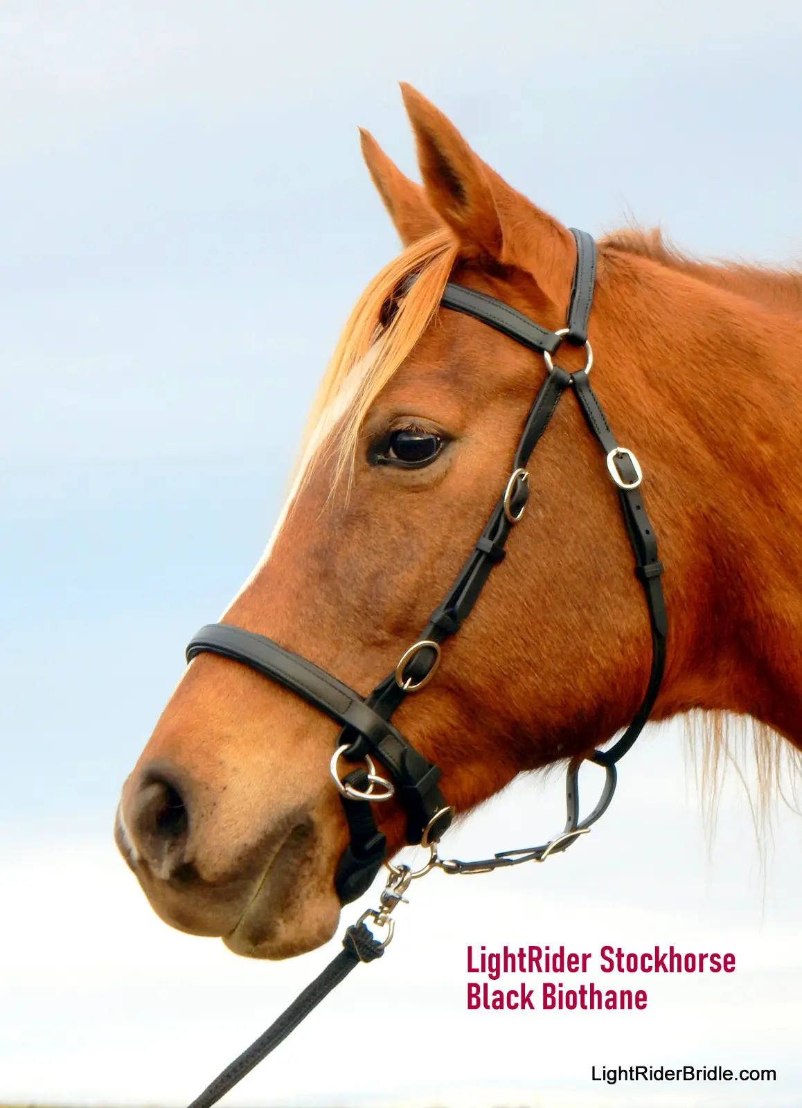 LightRider Stockhorse Bitless Bridle