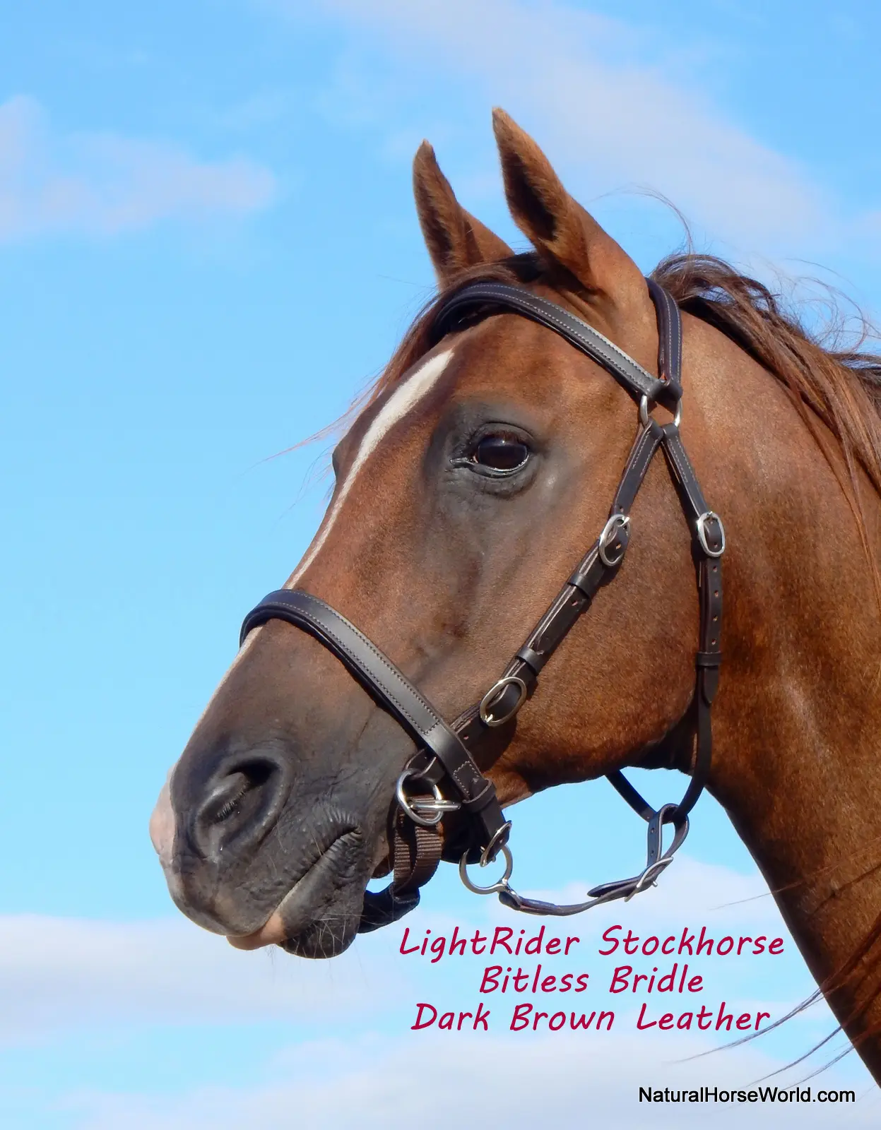 LightRider Stockhorse Bitless Bridle
