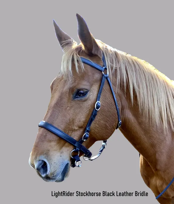 LightRider Stockhorse Bitless Bridle
