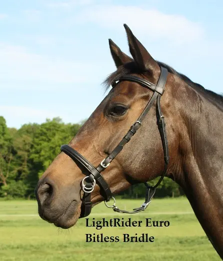 LightRider English Euro Bitless Bridle