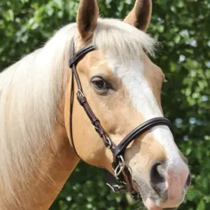 LightRider English Euro Bitless Bridle