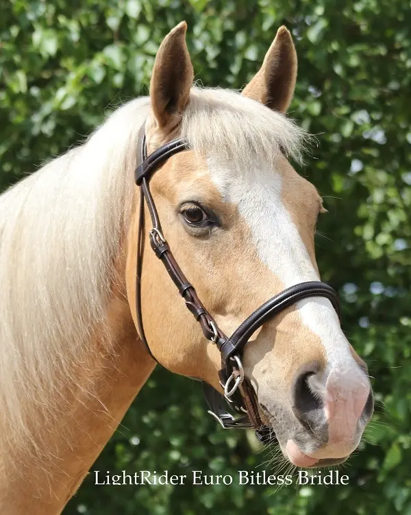 LightRider English Euro Bitless Bridle