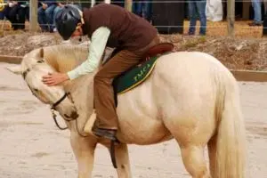 LightRider Amalia Bitless Bridle - Natural Horse World Cynthia and Charlie at Agfest 2011