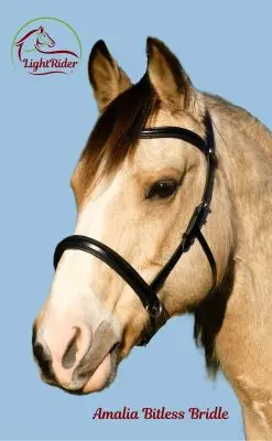 LightRider Amalia Bitless Bridle - Natural Horse World Amalia Bridle BlackMainPic