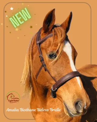 LightRider Amalia Bitless Bridle - Natural Horse World AmaliaBiothaneBridleNewB