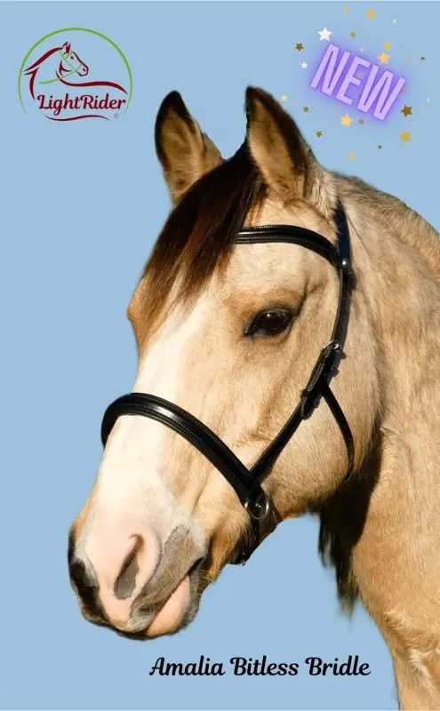 LightRider Amalia Bitless Bridle - Natural Horse World