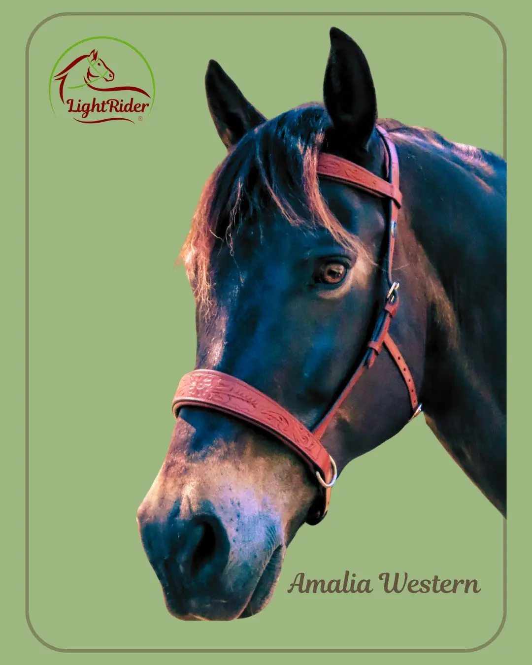 LightRider Amalia Western bitless bridle Tan on Bay horse