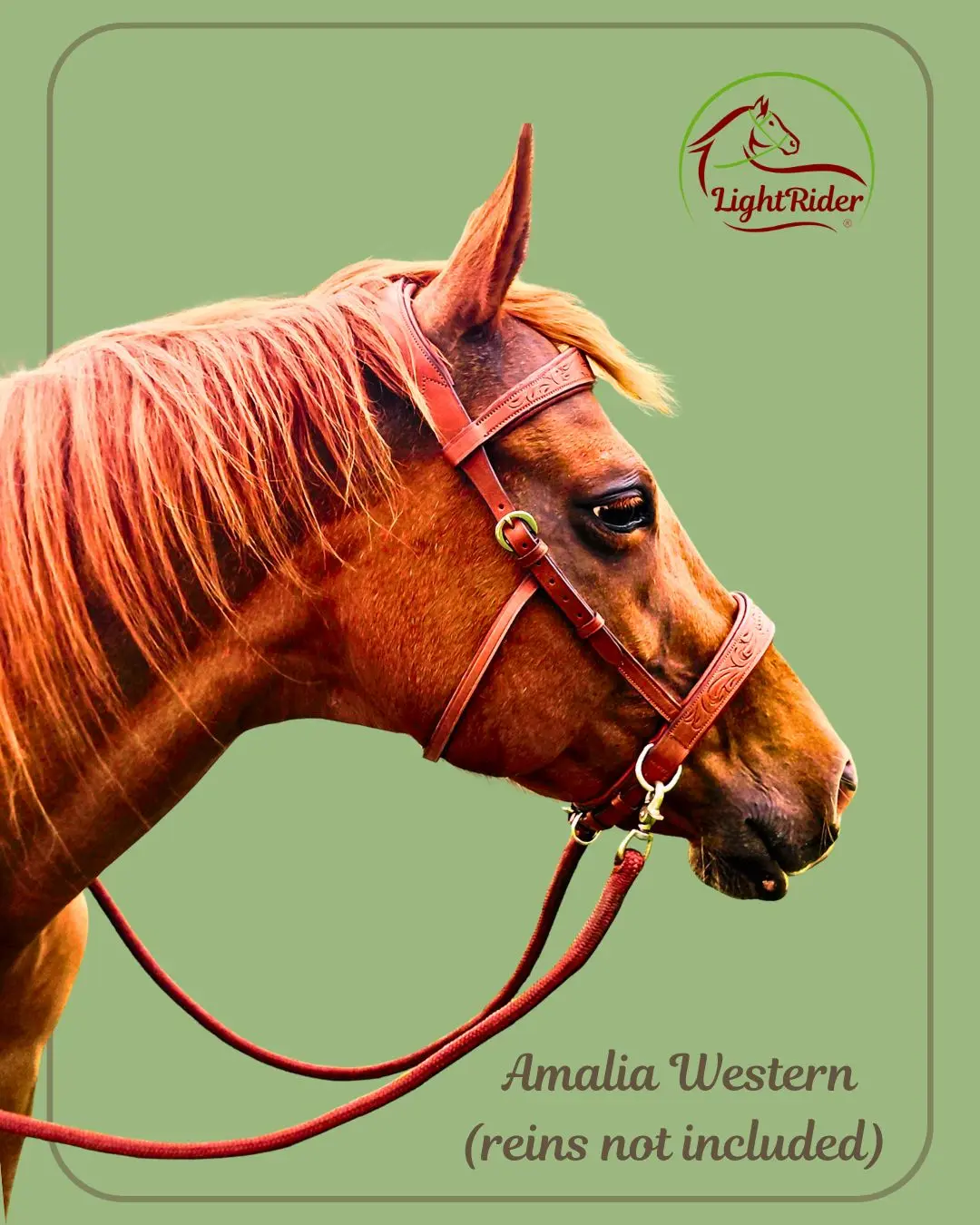 LightRider Amalia Western Bitless bridle Tan on Chestnut horse