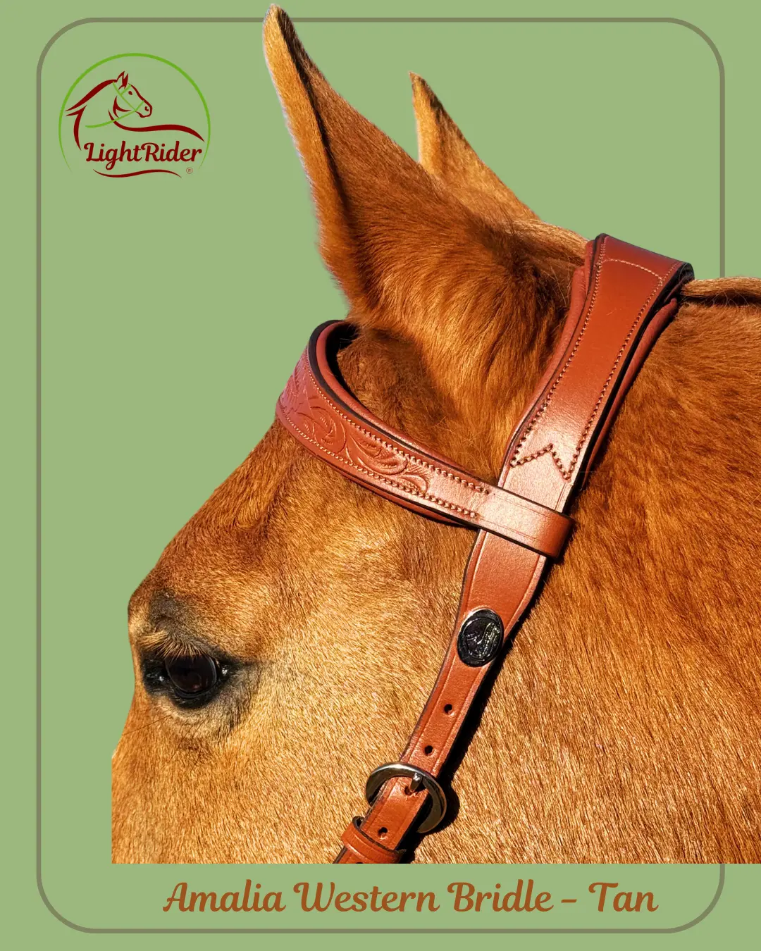 AmaliaWesternbridleHead