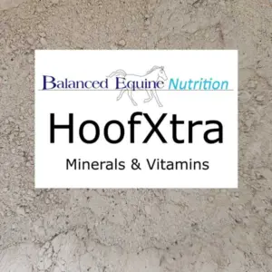 HoofXtra Mineral Mix Carol Layton - Balanced Equine