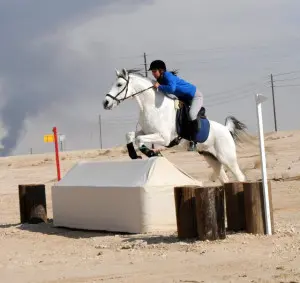 LightRider Amalia Bitless Bridle - Natural Horse World Bitless eventing in Saudi Arabia